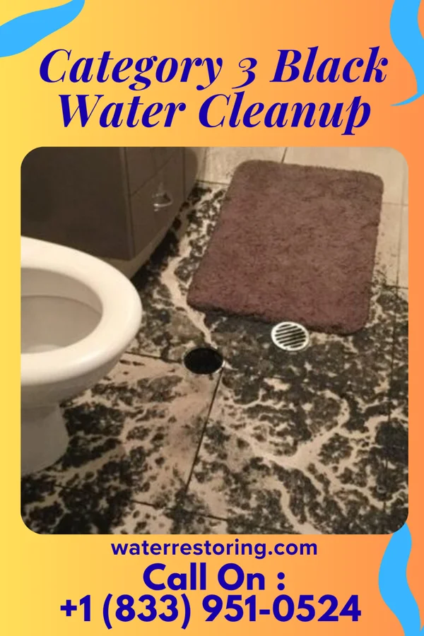 Category 3 Black Water Cleanup in Murillo, TX