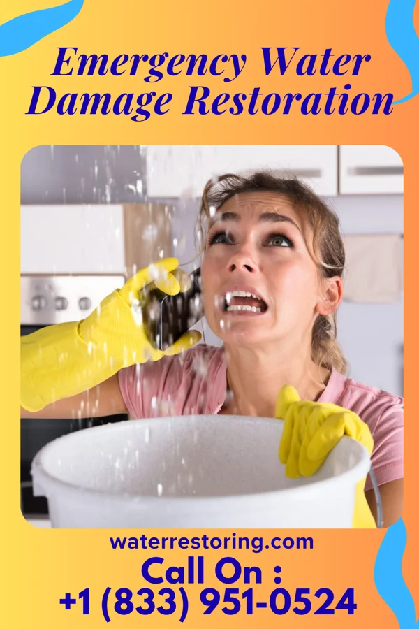 Emergency Water Damage Restoration in Murillo, TX
