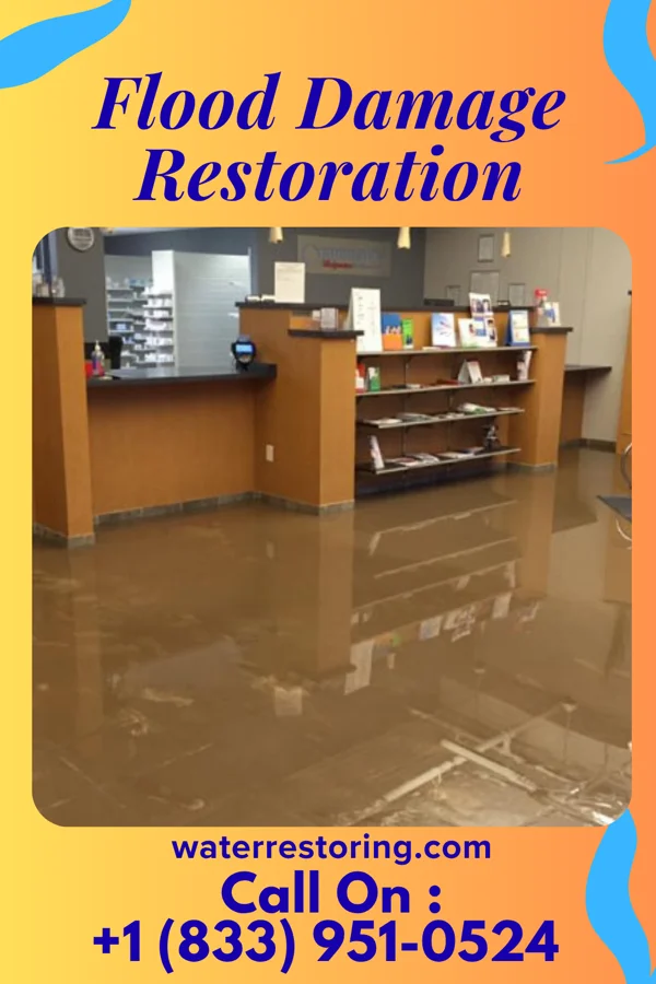 Flood Damage Restoration in Murillo, TX