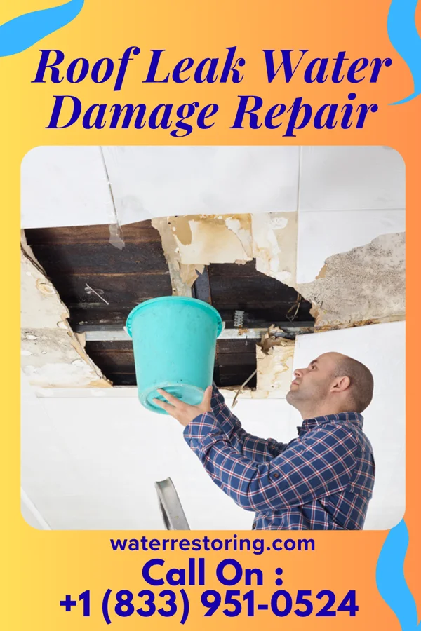Roof Leak Water Damage Repair in Murillo, TX
