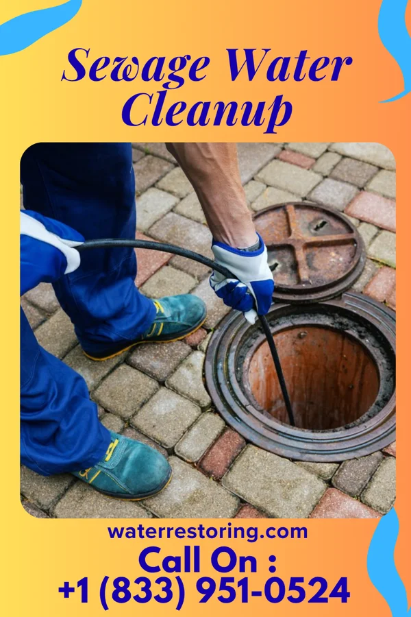 Sewage Water Cleanup in Murillo, TX