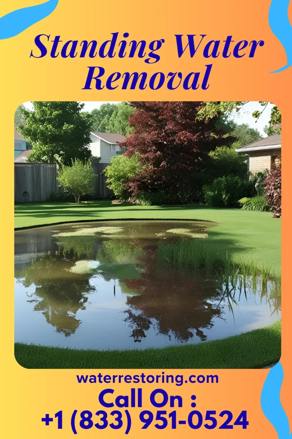 Standing Water Removal in Murillo, TX